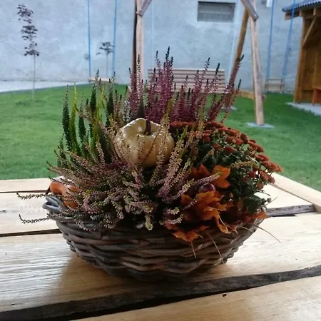 Vian Krasnohorska Dlha Luka