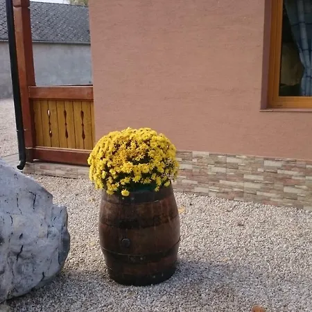 Penzión pre hostí Vian